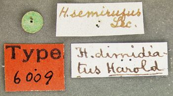 Media type: image;   Entomology 6009 Aspect: labels